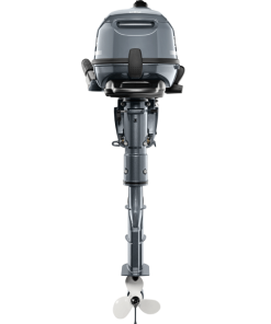Yamaha F6 outboard motor